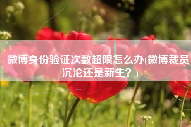 微博身份验证次数超限怎么办(微博裁员，沉沦还是新生？)