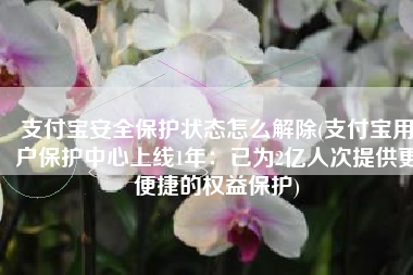 支付宝安全保护状态怎么解除(支付宝用户保护中心上线1年：已为2亿人次提供更便捷的权益保护)