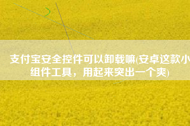 支付宝安全控件可以卸载嘛(安卓这款小组件工具，用起来突出一个爽)