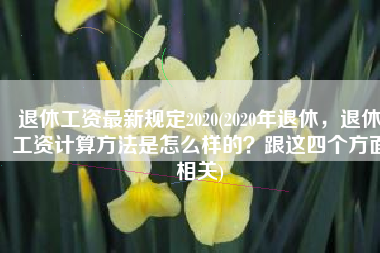 退休工资最新规定2020(2020年退休，退休工资计算方法是怎么样的？跟这四个方面相关)