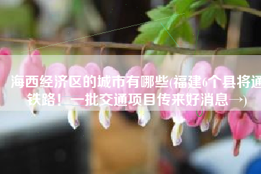 海西经济区的城市有哪些(福建6个县将通铁路！一批交通项目传来好消息→)