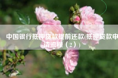 中国银行抵押贷款提前还款(抵押贷款申请流程（2）)