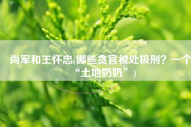尚军和王怀忠(哪些贪官被处极刑？一个“土地奶奶”)