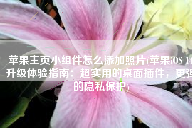 苹果主页小组件怎么添加照片(苹果iOS 14升级体验指南：超实用的桌面插件，更强的隐私保护)