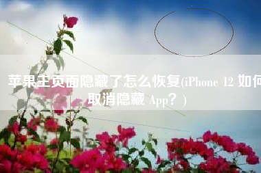 苹果主页面隐藏了怎么恢复(iPhone 12 如何取消隐藏 App？)