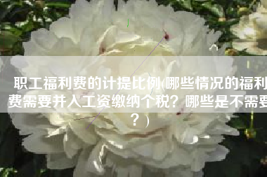 职工福利费的计提比例(哪些情况的福利费需要并入工资缴纳个税？哪些是不需要？)