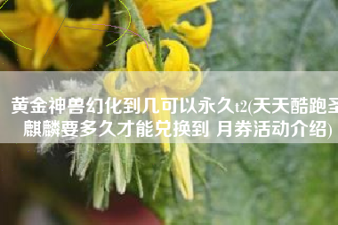 黄金神兽幻化到几可以永久t2(天天酷跑圣麒麟要多久才能兑换到 月券活动介绍)