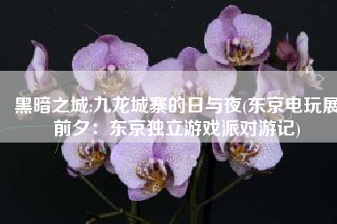 黑暗之城:九龙城寨的日与夜(东京电玩展前夕：东京独立游戏派对游记)