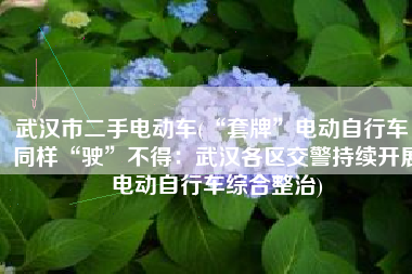 武汉市二手电动车(“套牌”电动自行车，同样“驶”不得：武汉各区交警持续开展电动自行车综合整治)