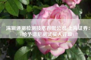 深圳通测检测技术有限公司(上海证券：给予谱尼测试买入评级)