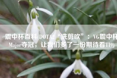 震中杯百科(DOTA2“洗剪吹”：VG震中杯Major夺冠，让我们多了一份期待看TI9)