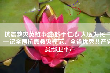 抗震救灾英雄事迹(妙手仁心 大医为民——记全国抗震救灾模范、全省优秀共产党员鄢卫平)