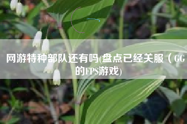 网游特种部队还有吗(盘点已经关服（GG）的FPS游戏)