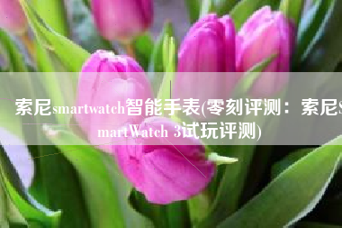 索尼smartwatch智能手表(零刻评测：索尼SmartWatch 3试玩评测)