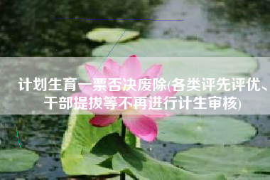 计划生育一票否决废除(各类评先评优、干部提拔等不再进行计生审核)