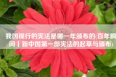 我国现行的宪法是哪一年颁布的(百年瞬间丨新中国第一部宪法的起草与颁布)