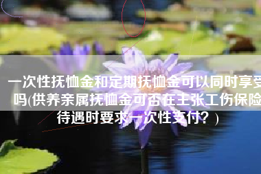 一次性抚恤金和定期抚恤金可以同时享受吗(供养亲属抚恤金可否在主张工伤保险待遇时要求一次性支付？)
