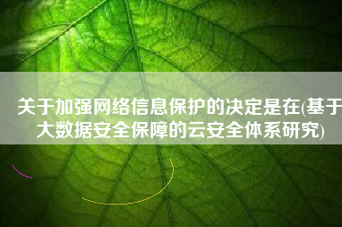 关于加强网络信息保护的决定是在(基于大数据安全保障的云安全体系研究)