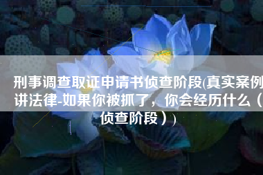 刑事调查取证申请书侦查阶段(真实案例讲法律-如果你被抓了，你会经历什么（侦查阶段）)