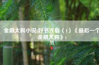 金融大鳄小说(好书连载（1）《最后一个金融大鳄》)