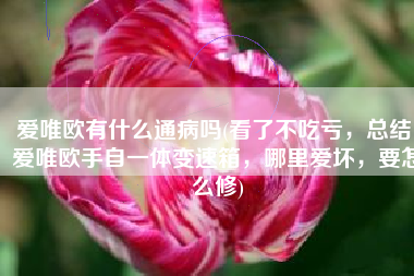 爱唯欧有什么通病吗(看了不吃亏，总结，爱唯欧手自一体变速箱，哪里爱坏，要怎么修)