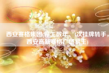 西安赛格集团(停工数年、4次挂牌转手，西安高新赛格广场易主)