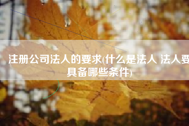 注册公司法人的要求(什么是法人 法人要具备哪些条件)