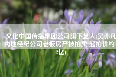 文化中国传播集团公司旗下艺人(吴亦凡内地经纪公司老板房产被拍卖 起拍价约4.2亿)