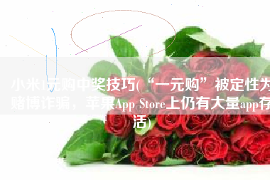 小米1元购中奖技巧(“一元购”被定性为赌博诈骗，苹果App Store上仍有大量app存活)