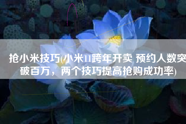 抢小米技巧(小米11跨年开卖 预约人数突破百万，两个技巧提高抢购成功率)