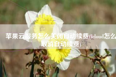 苹果云服务怎么关闭自动续费(icloud怎么取消自动续费)