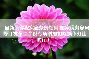 最新所得税实施条例细则(国家税务总局修订发布“个税专项附加扣除操作办法（试行）”)