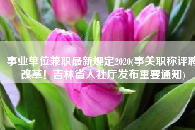 事业单位兼职最新规定2020(事关职称评聘改革！吉林省人社厅发布重要通知)