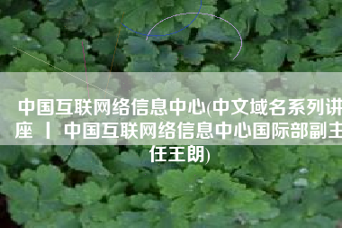 中国互联网络信息中心(中文域名系列讲座 丨 中国互联网络信息中心国际部副主任王朗)