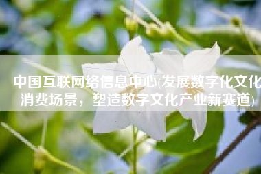 中国互联网络信息中心(发展数字化文化消费场景，塑造数字文化产业新赛道)