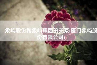 象屿股份和象屿集团的关系(厦门象屿股份有限公司)