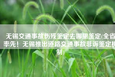 无锡交通事故伤残鉴定去哪里鉴定(全省率先！无锡推出道路交通事故非诉鉴定机制)
