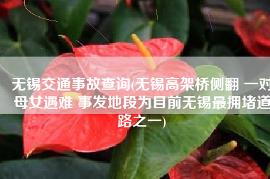 无锡交通事故查询(无锡高架桥侧翻 一对母女遇难 事发地段为目前无锡最拥堵道路之一)