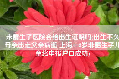未婚生子医院会给出生证明吗(出生不久母亲出走父亲病逝 上海一8岁非婚生子儿童终申报户口成功)