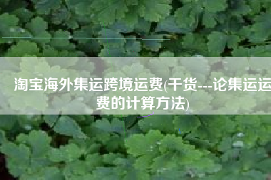 淘宝海外集运跨境运费(干货---论集运运费的计算方法)