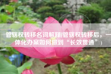 管辖权转移名词解释(管辖权转移后，一体化办案如何做到“长效贯通”)