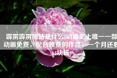 霹雳霹雳网站是什么(动画史上唯一一部动画免费，配音收费的作品，一个月还要64块钱)