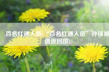 百名红通人员(“百名红通人员”孙锋被遣返回国)