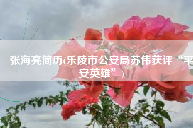张海亮简历(乐陵市公安局苏伟获评“平安英雄”)