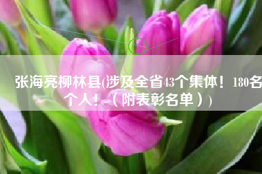 张海亮柳林县(涉及全省43个集体！180名个人！（附表彰名单）)