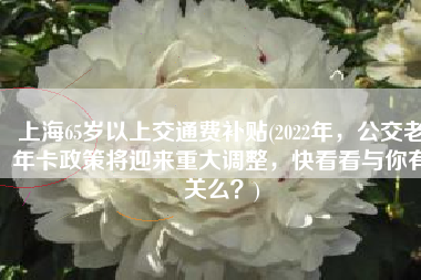 上海65岁以上交通费补贴(2022年，公交老年卡政策将迎来重大调整，快看看与你有关么？)