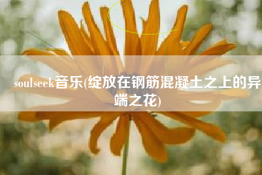soulseek音乐(绽放在钢筋混凝土之上的异端之花)