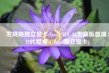 发烧级独立显卡(Intel NUC 12发烧版首曝：12代酷睿、Intel独立显卡)