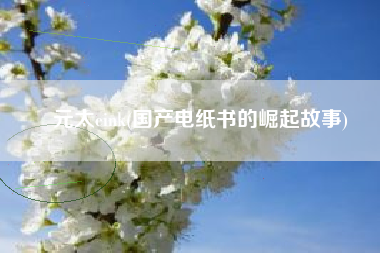 元太eink(国产电纸书的崛起故事)