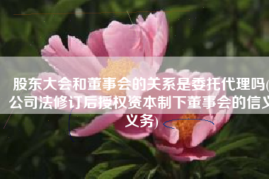 股东大会和董事会的关系是委托代理吗(公司法修订后授权资本制下董事会的信义义务)